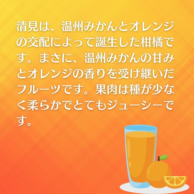 清見　約5kg 果物類 柑橘類 フルーツ みかん