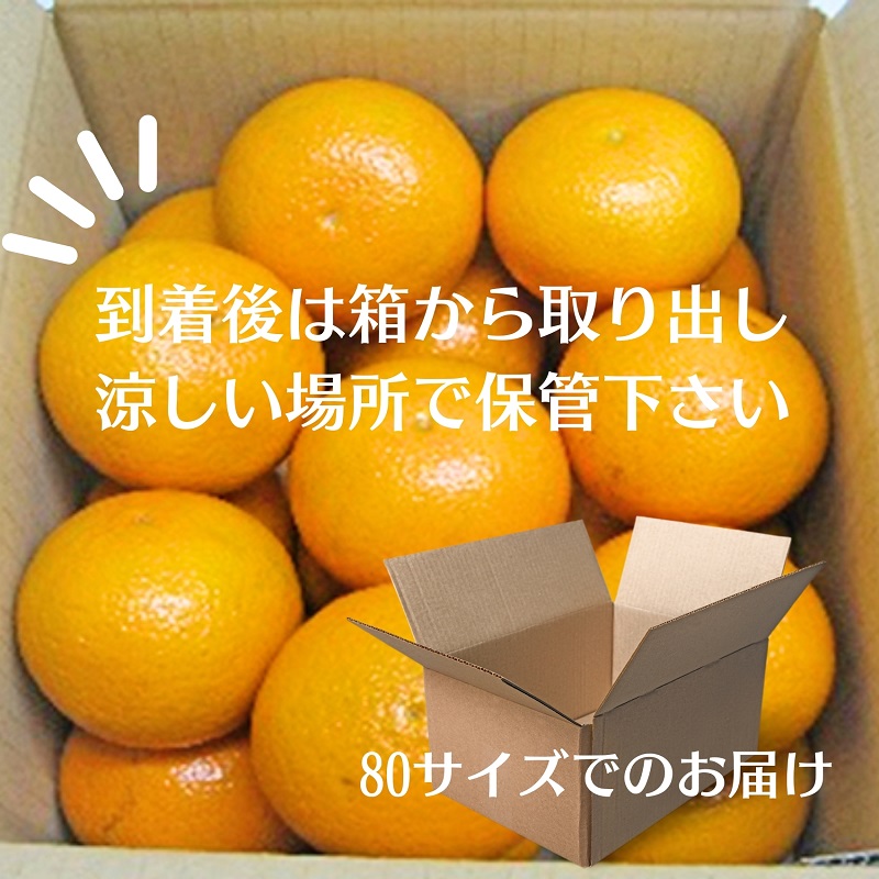 清見　約5kg 果物類 柑橘類 フルーツ みかん