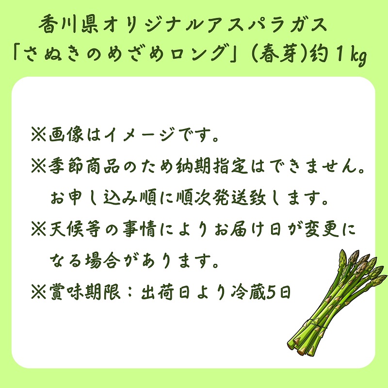 香川県オリジナルアスパラガス「さぬきのめざめロング」(春芽)約１kg