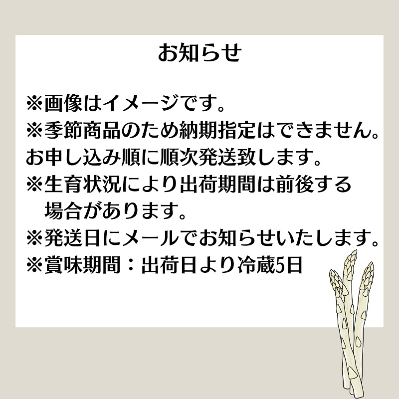 ホワイトアスパラガス  約1kg