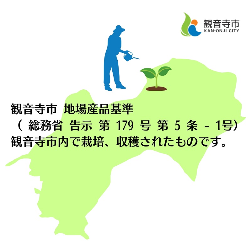 観音寺市産アスパラガス詰合せ 約900g