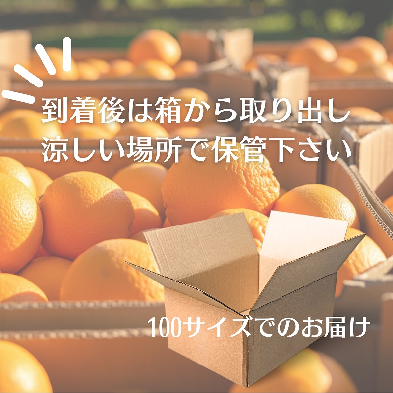 甘夏 柑 約10kg 果物類 柑橘類 フルーツ みかん