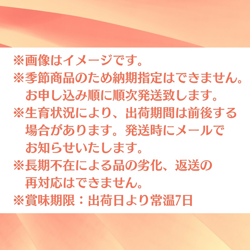 クインシー メロン（赤肉）約5kg 果物類 フルーツ メロン赤肉