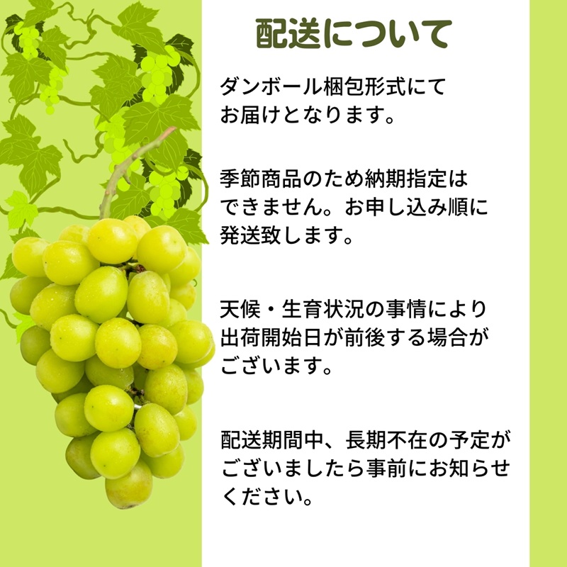 《鮮度抜群》シャインマスカット 約1.4kg 2～4房入り ぶどう 香川県産 種なし 果物 葡萄 フルーツ 甘い 送料無料 冷蔵 期間限定 年内発送 おいしい 高評価 採れたて 産地厳選 大人気 産直