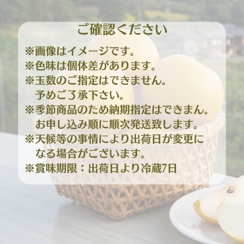 ホウナンの梨（幸水梨）約5kg 果物 フルーツ ナシ 先行予約