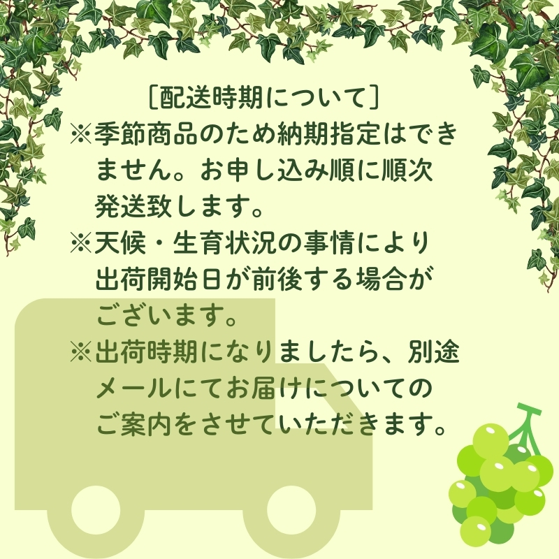 ハウス育ち シャインマスカット約１kg　2房化粧箱入り 果物類 フルーツ 果物 ぶどう 葡萄 約1kg