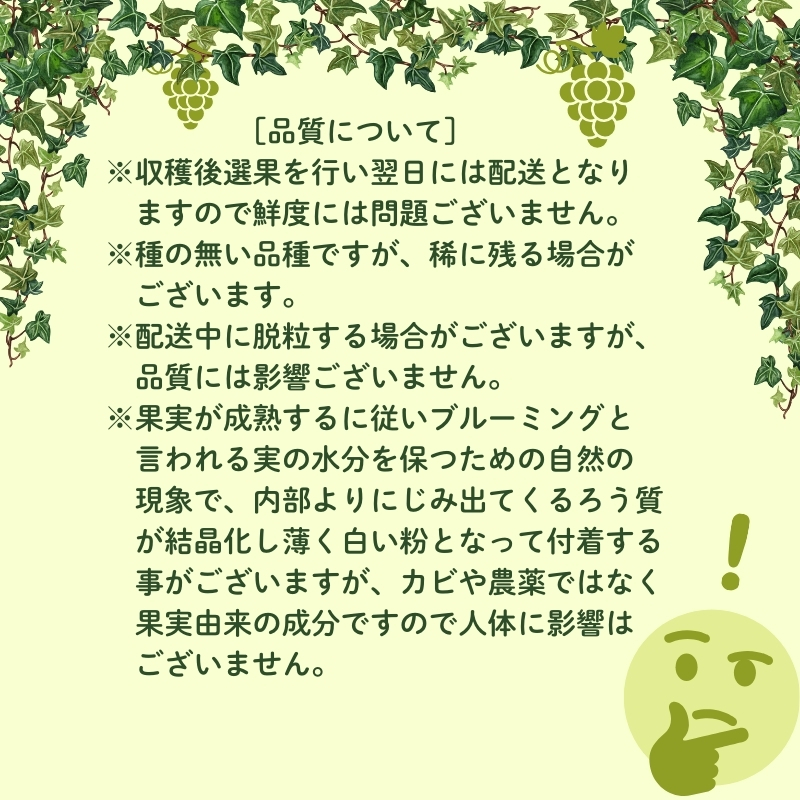 ハウス育ち シャインマスカット約１kg　2房化粧箱入り 果物類 フルーツ 果物 ぶどう 葡萄 約1kg