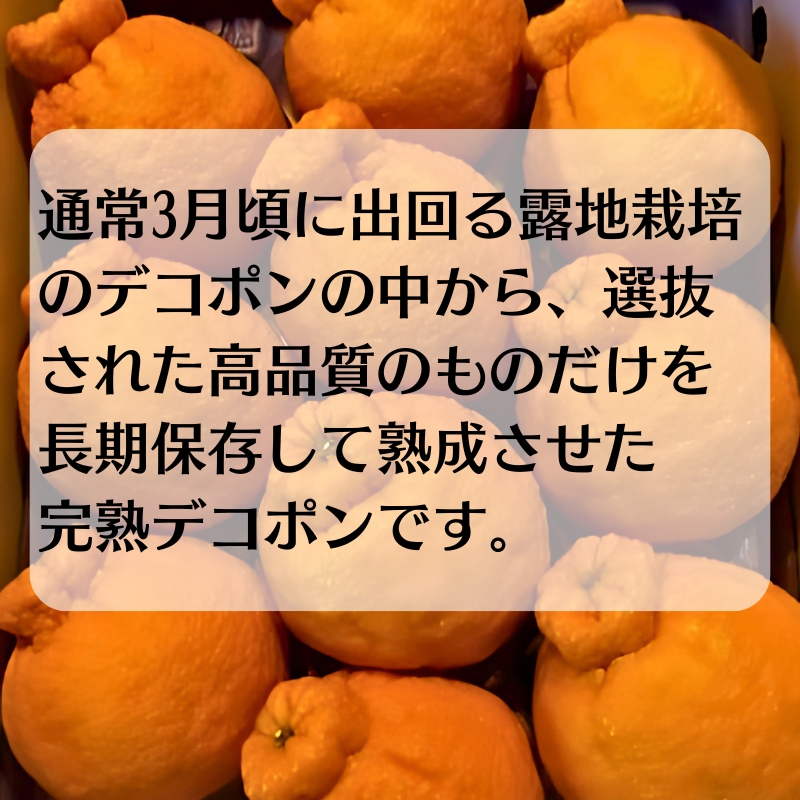 貯蔵 デコポン 約2.8kg化粧箱 果物類 みかん 柑橘類