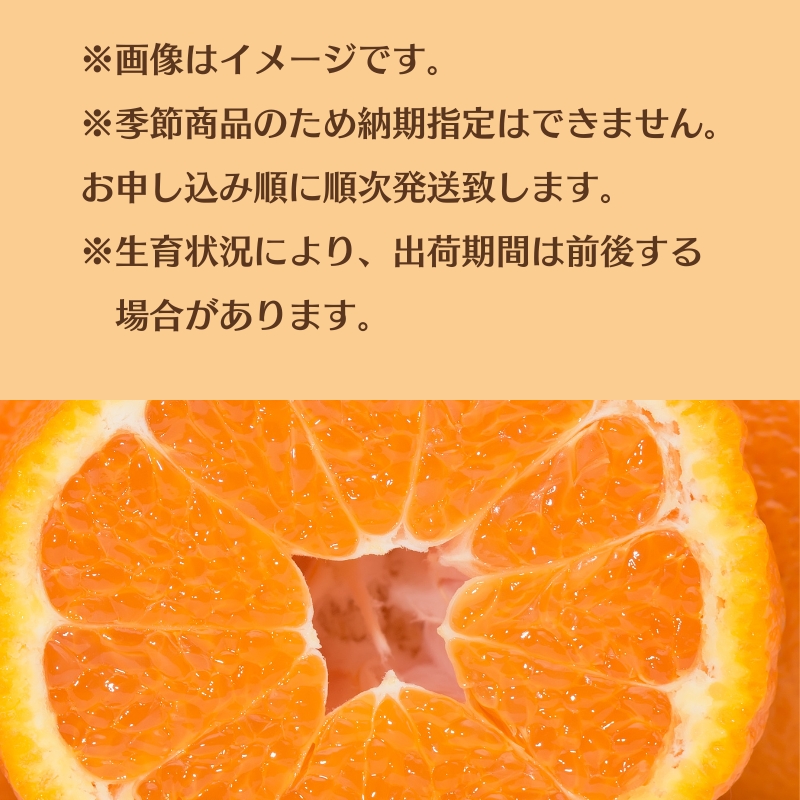 貯蔵 デコポン 約2.8kg化粧箱 果物類 みかん 柑橘類