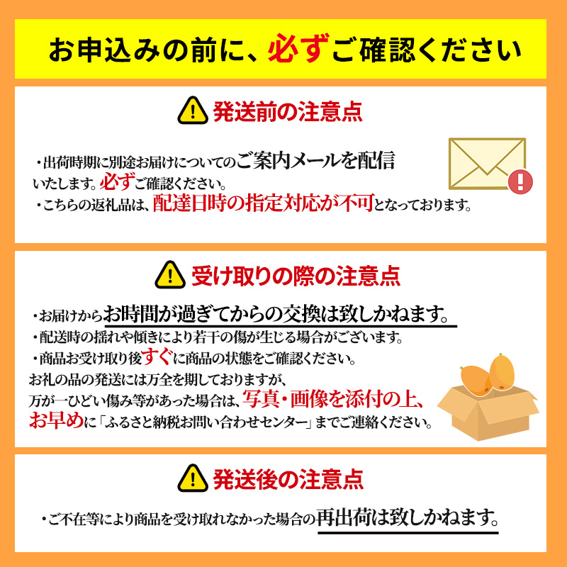 なつたより（びわ）約1kg さぬき産フルーツ 果物類 枇杷