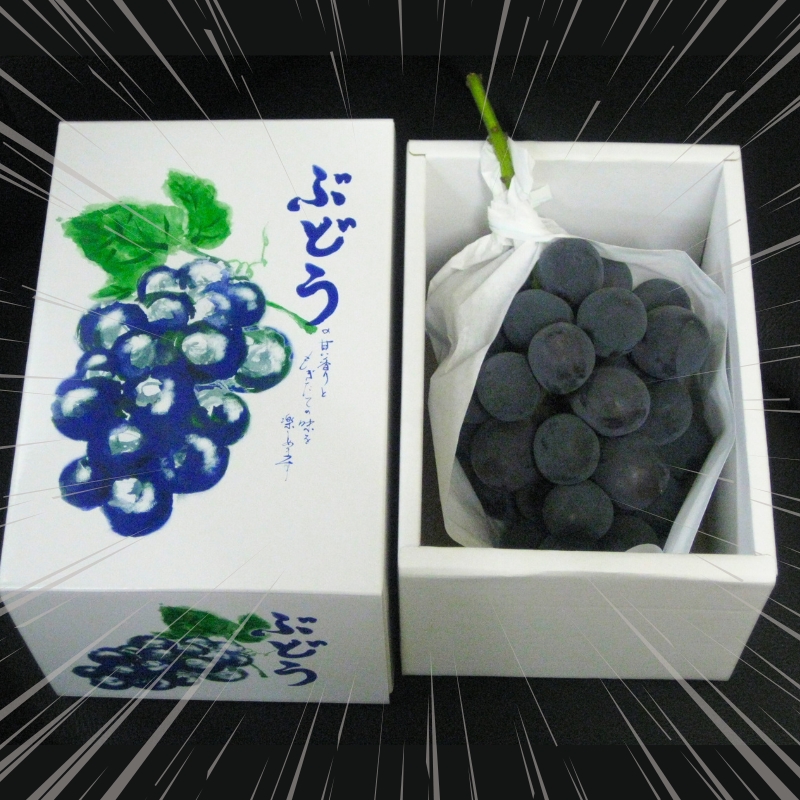 ハウス育ち ピオーネ 約600g 1房化粧箱入り 果物 ぶどう ブドウ フルーツ