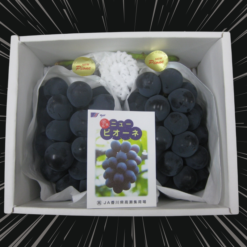 ハウス育ち ピオーネ 約1kg 2房化粧箱入り 果物 ぶどう ブドウ フルーツ