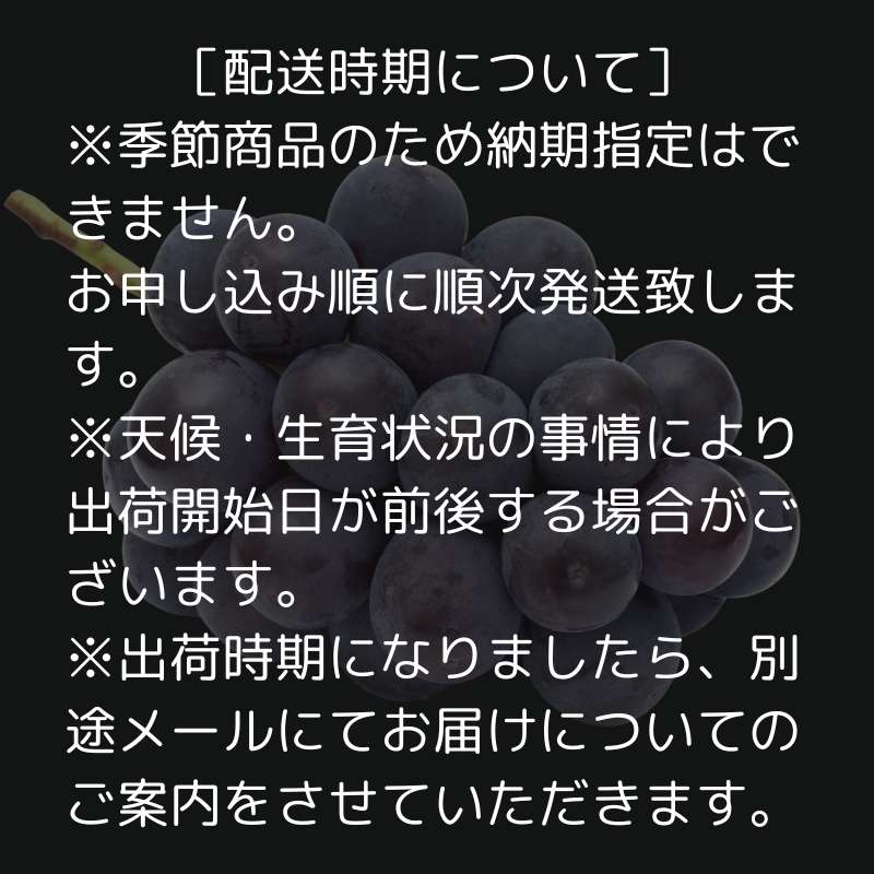 ハウス育ち ピオーネ 約1kg 2房化粧箱入り 果物 ぶどう ブドウ フルーツ