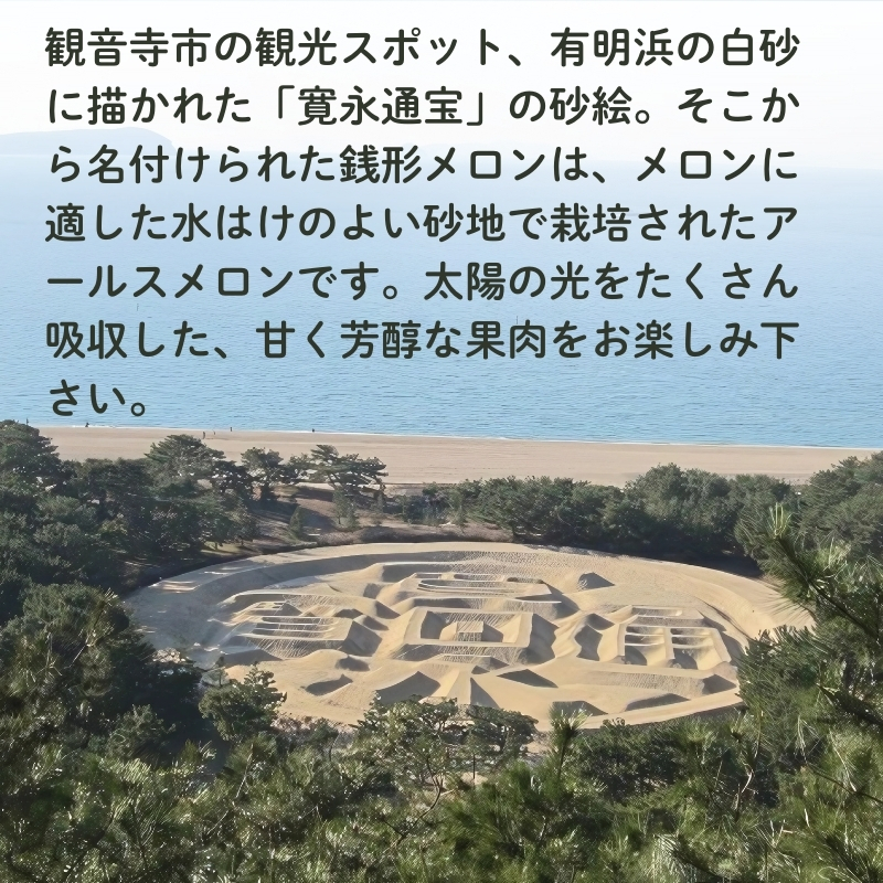 銭形メロン（アールス）1玉　約1.3kg 化粧箱入り フルーツ 果物 青肉メロン 産地直送 旬のフルーツ 香川県産 予約受付