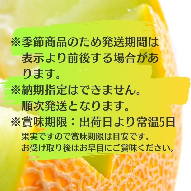 銭形メロン（アールス）1玉　約1.3kg 化粧箱入り フルーツ 果物 青肉メロン 産地直送 旬のフルーツ 香川県産 予約受付