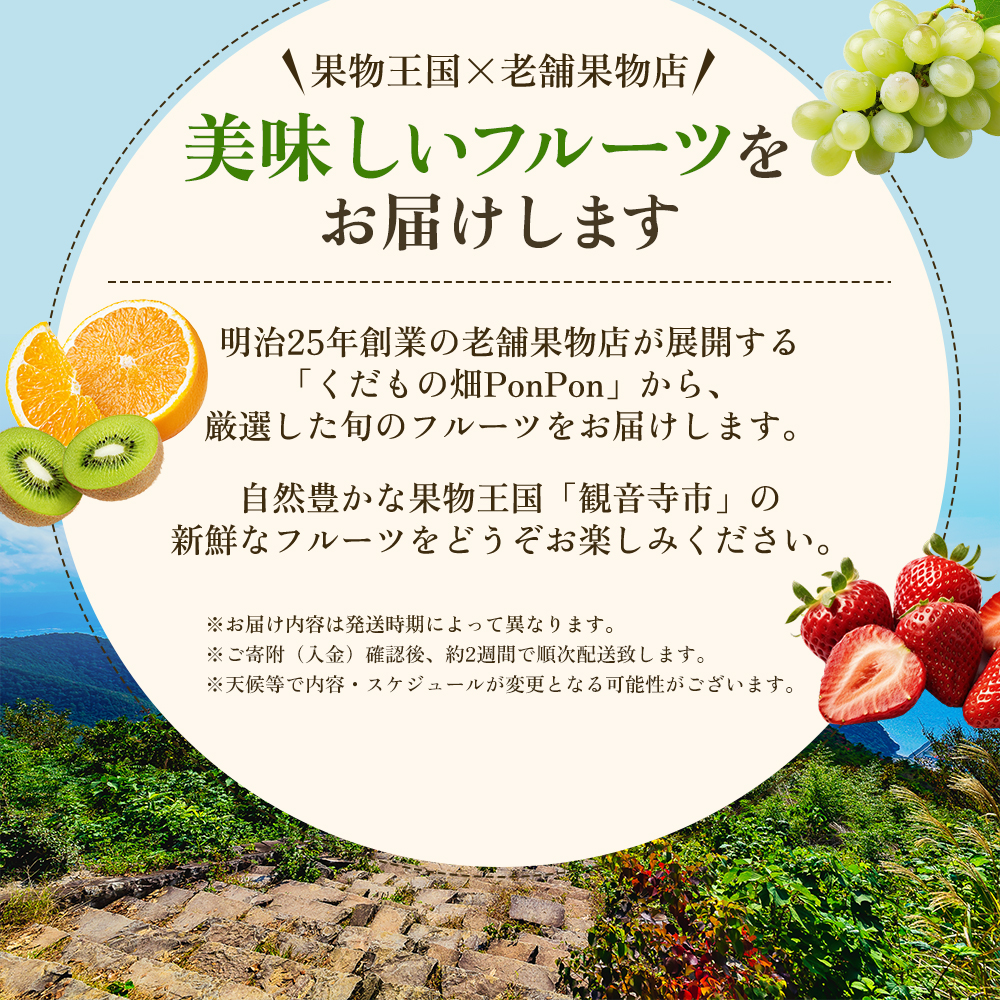 旬を見極めた、厳選フルーツ詰合せ【観音寺セット-極-】