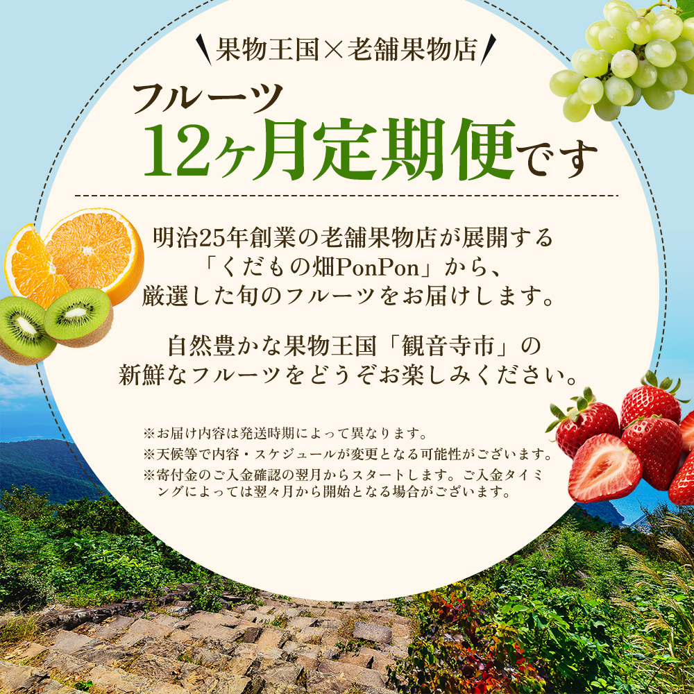 旬を見極めた、厳選フルーツ詰合せ【観音寺コース-極-】12ヶ月連続