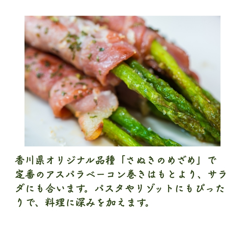 香川県オリジナルアスパラガス「さぬきのめざめ」(夏芽) 約500g アスパラガス 野菜