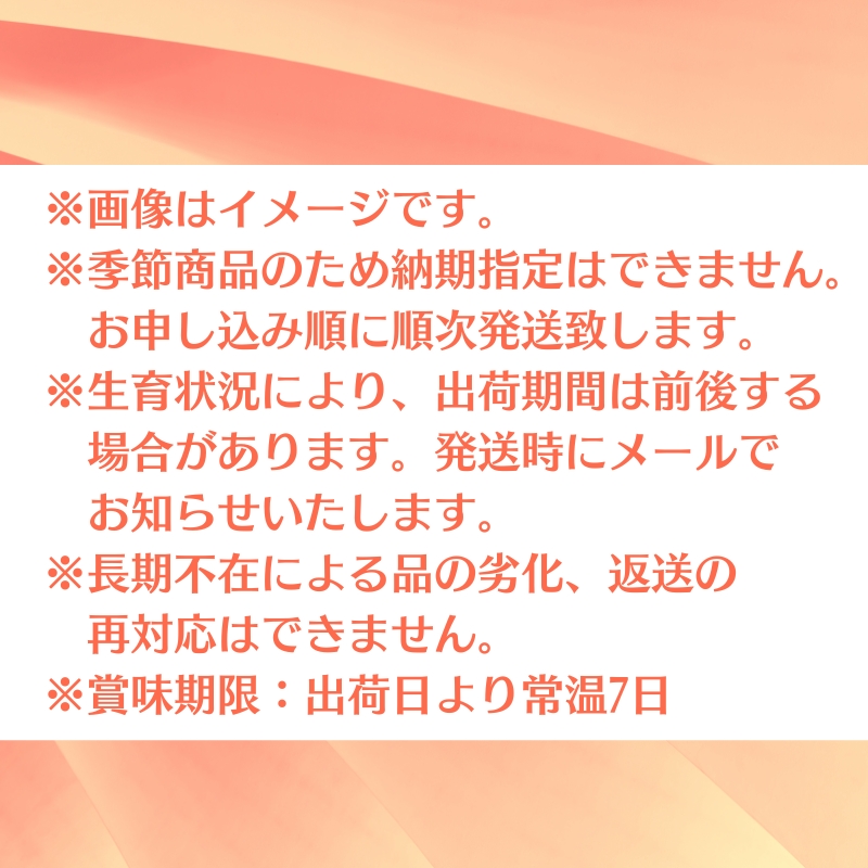 クインシー メロン（赤肉）約5kg 果物類 フルーツ メロン赤肉
