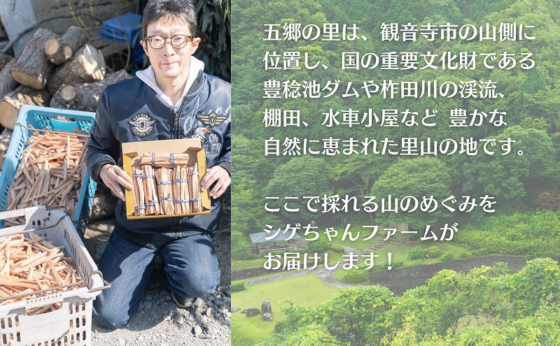 天然★ファッドウッド 肥松 着火剤 約1kg入り 五郷の里産