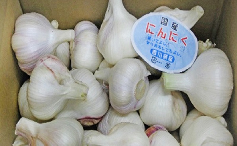 生にんにく 約2kg 野菜 ニンニク 大蒜