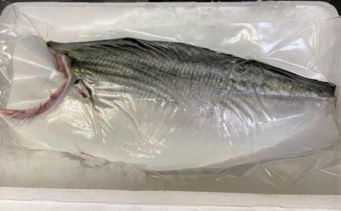 ひけた鰤（ブリ）片身フィレ（納期指定賜ります） 魚介類