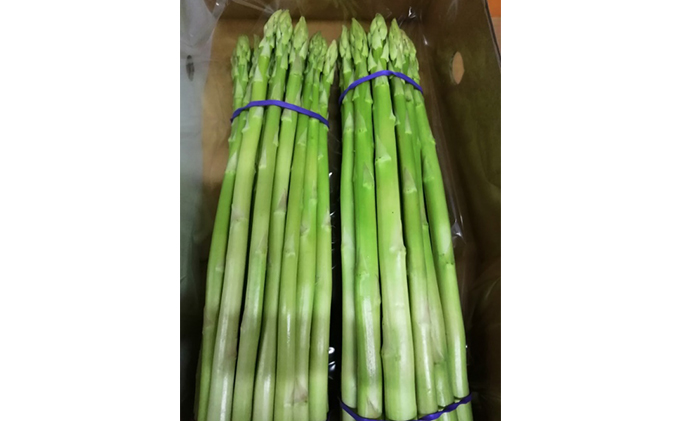 令和8年産　はなまる農園の乳酸菌入りアスパラ【さぬきのめざめ1kg】М～L アスパラガス 野菜 野菜セット
