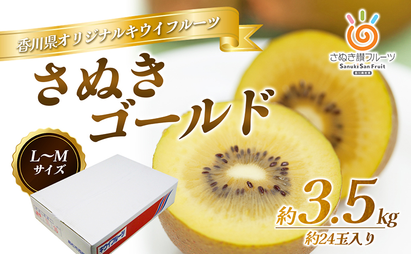 さぬき ゴールドキウイ L～４Lサイズ16玉～ 24玉 3.5kg ゴールデンキウイ キウイフルーツ キウイ フルーツ 果物 くだもの 果実 旬の果物 旬のフルーツ 香川 香川県 東かがわ市