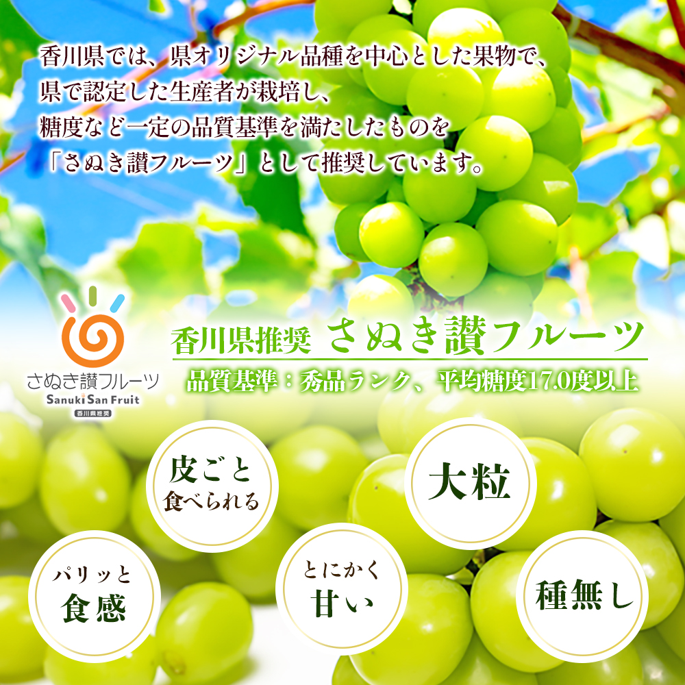瀬戸内のシャインマスカット 2～6房 （約2kg）  シャインマスカット マスカット 葡萄 ぶどう ブドウ フルーツ 果物 くだもの 果実 旬の果物 旬のフルーツ 香川 香川県 東かがわ市