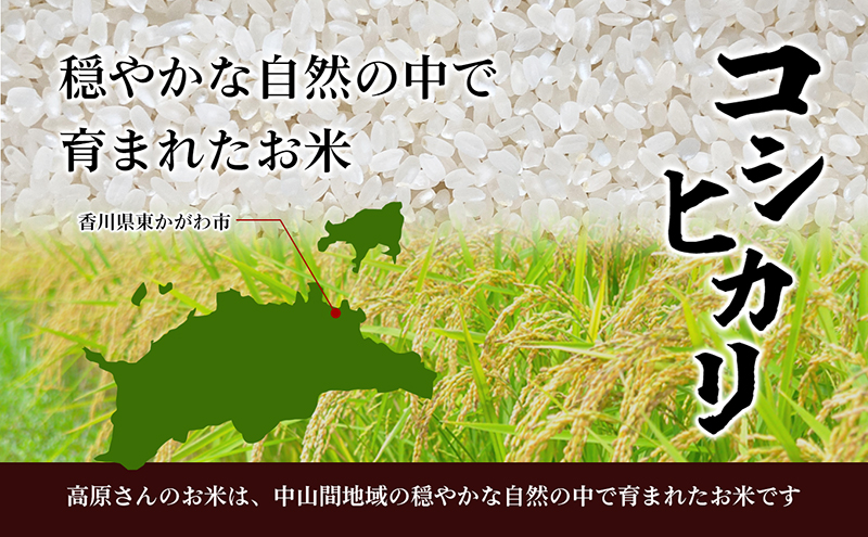 令和7年産香川県産コシヒカリ2kg（精米） お米