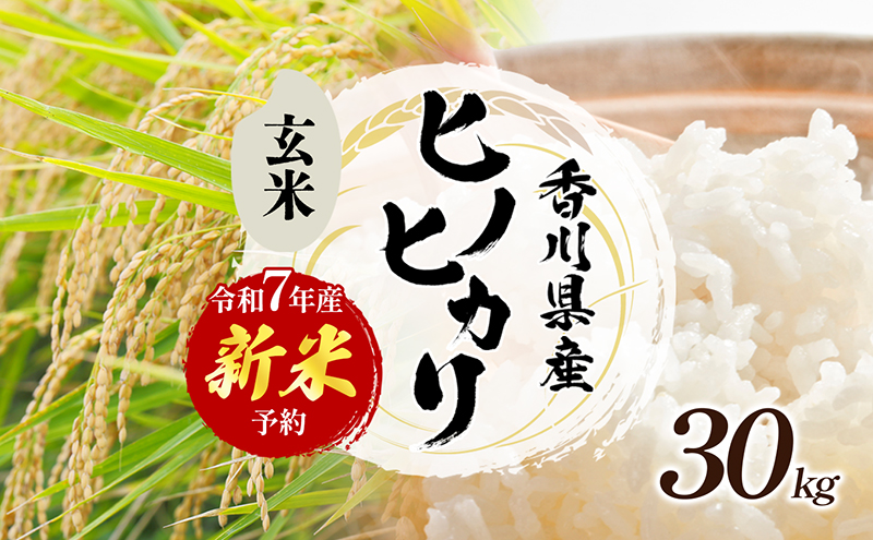 楽天市場】【新米予約 令和7年産】 新米 お米 30kg 送料無料