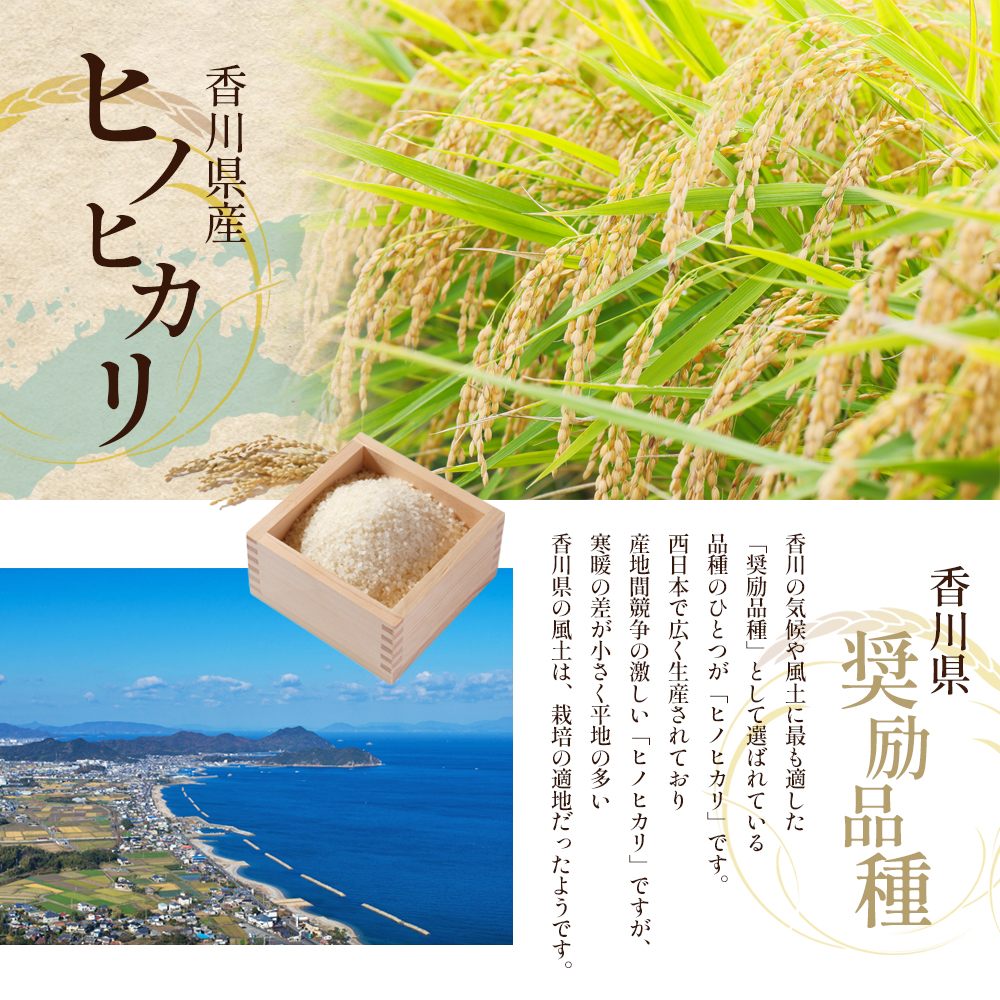お米 令和5年 愛媛県産ヒノヒカリ 玄米 30㎏