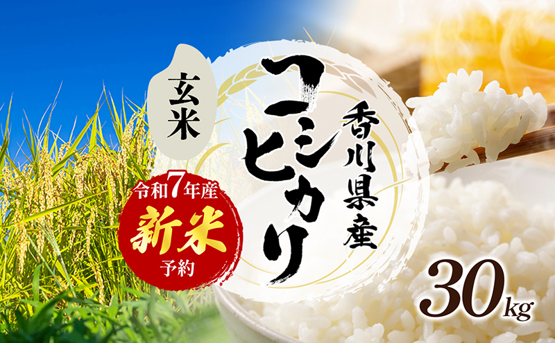令和7年産 新米「ヒノヒカリ」30kg（玄米） お米 30kg: 東かがわ