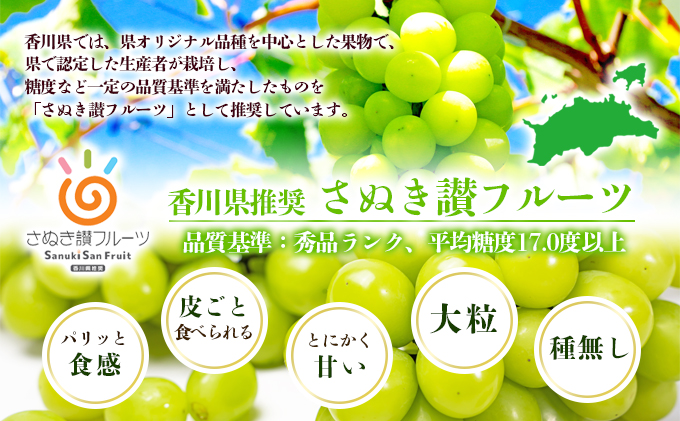 「9月30日までの食卓応援品」　  シャインマスカット2～4房（約1.4kg）