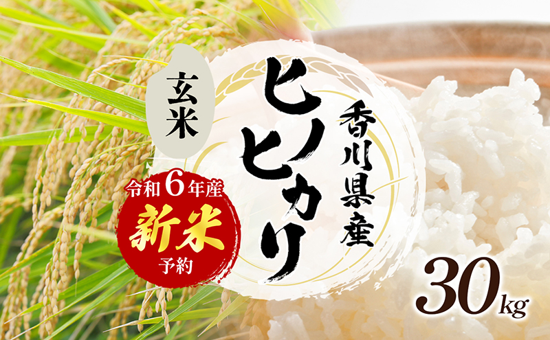 令和6年産 新米「ヒノヒカリ」30kg（玄米）: 東かがわ市ANAのふるさと納税