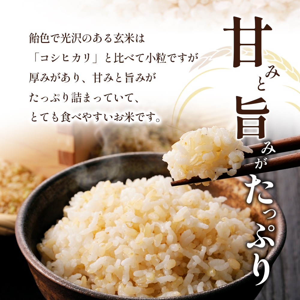 令和6年産 新米「ヒノヒカリ」30kg（玄米）: 東かがわ市ANAのふるさと納税