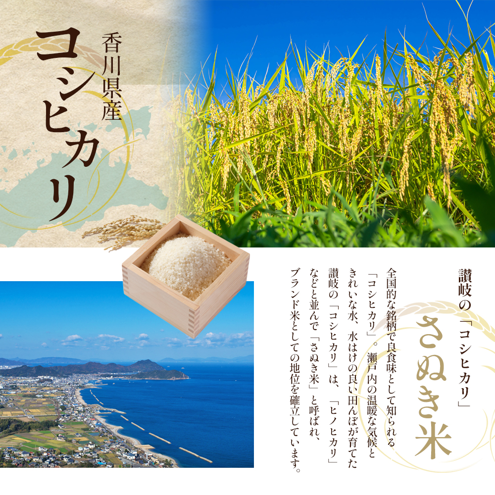 限定数量】令和6年産 熊本県 山都町産 ひのひかり 玄米 30kg