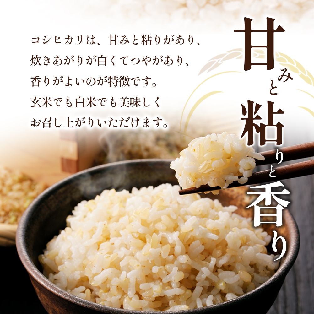 茨城県筑西市産コシヒカリ 30kg