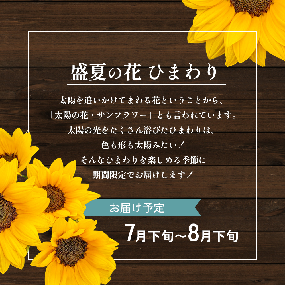 盛夏の花「ひまわり」切り花　10本
