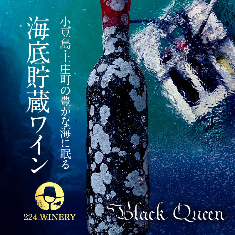 【小豆島・土庄町産】 海底貯蔵ワイン木箱入り 赤 ブラッククイーン 2024（720ml・1本)
