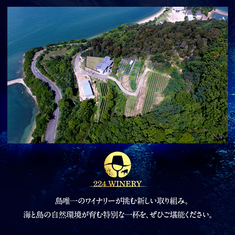 【小豆島・土庄町産】 海底貯蔵ワイン木箱入り 赤 ブラッククイーン 2024（720ml・1本)