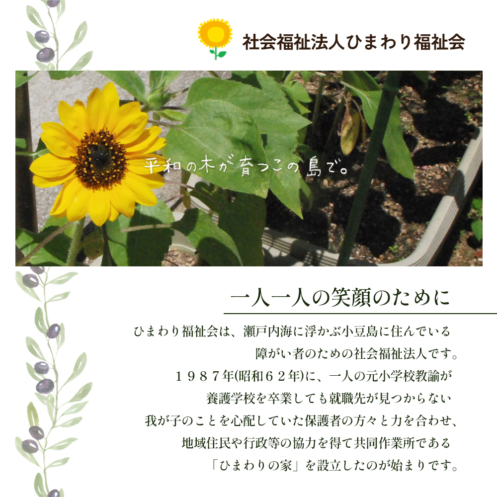 【 小豆島 】100％ 小豆島産 エキストラバージン オリーブオイル 91g4本セット 油 オリーブ油 食用油 調味料 オリーブ オイル ヘルシー 健康 手摘み 手作り 香川 香川県 土庄 土庄町
