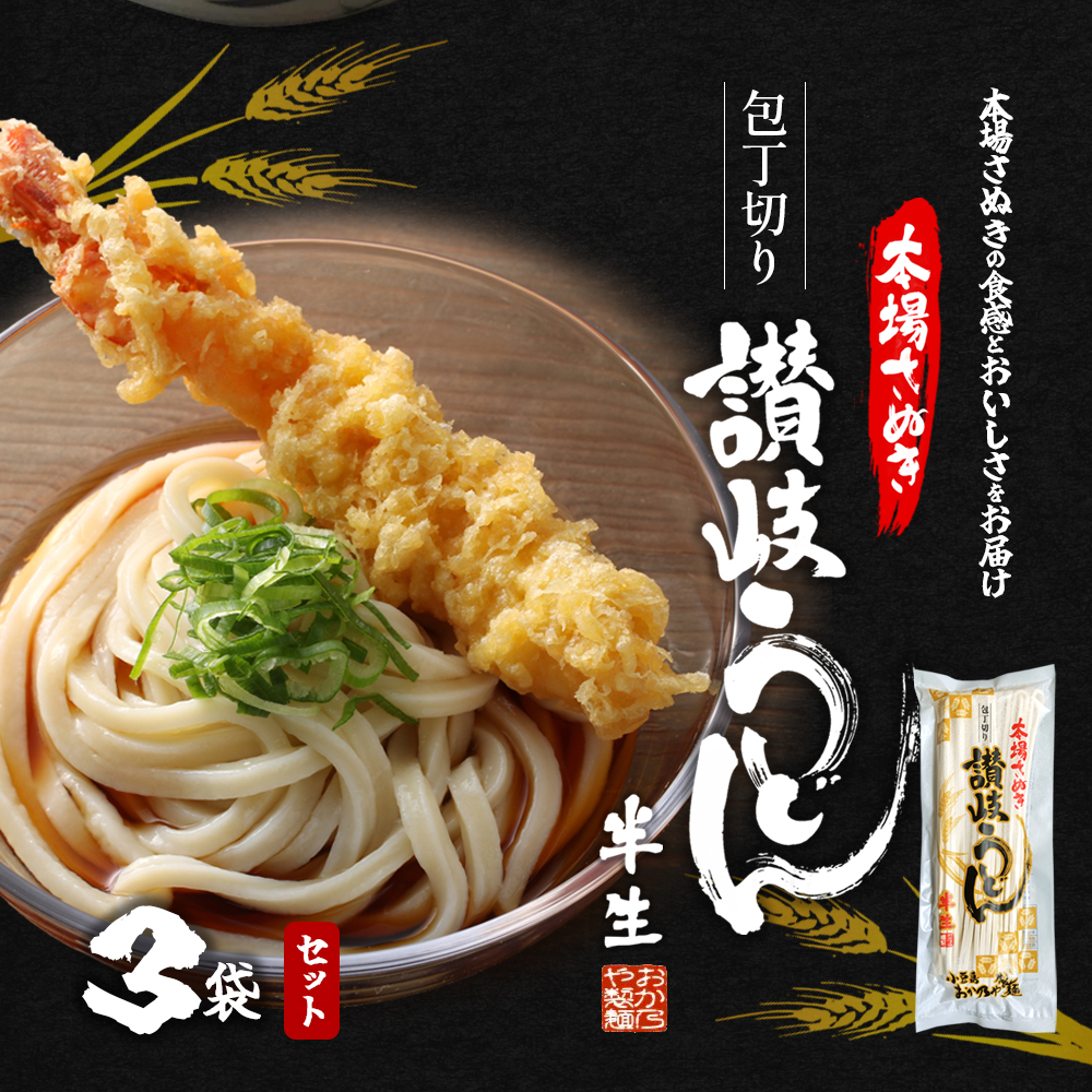 【 小豆島 】おか乃や製麺　讃岐うどん2種・めんつゆ詰合せ　9人前