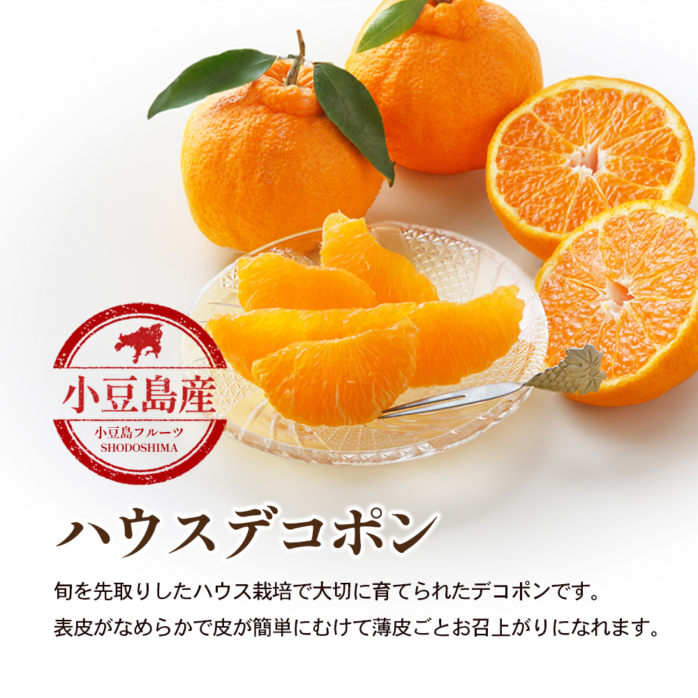 【 小豆島 】 ハウスデコポン 約2.8kg 化粧箱 柑橘 デコポン 不知火 果物 フルーツ ハウス くだもの 国産 香川 香川県 土庄 土庄町