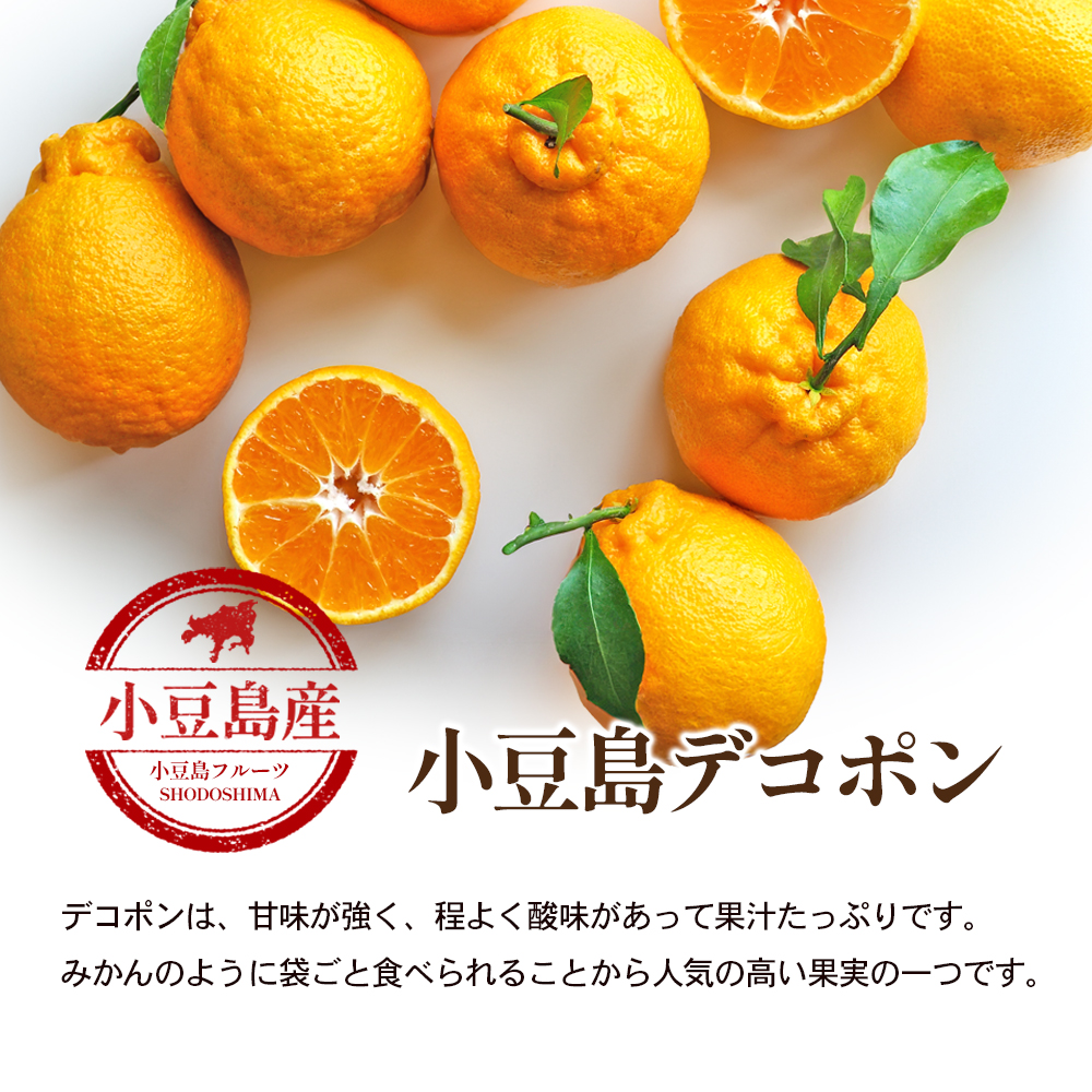 【 小豆島 】小豆島 デコポン 約2.8kg 柑橘 デコポン 不知火 果物 フルーツ 国産 くだもの さっぱり 国産 香川 香川県 土庄 土庄町