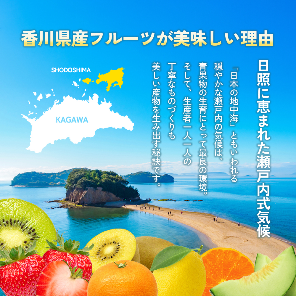 【 小豆島 】小豆島 デコポン 約2.8kg 柑橘 デコポン 不知火 果物 フルーツ 国産 くだもの さっぱり 国産 香川 香川県 土庄 土庄町