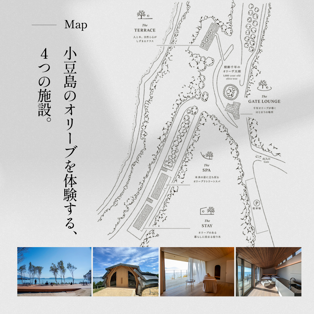 【 小豆島 】千年オリーブテラス for your wellness オリーブオイルテイスティング 講座 （入園つき） ペアチケット 旅行 旅 オリーブオイル 体験 体験チケット オリーブテラス ペア チケット 香川 香川県 土庄 土庄町