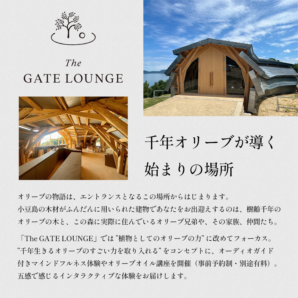 【 小豆島 】千年オリーブテラス for your wellness オリーブオイルテイスティング 講座 （入園つき） ペアチケット 旅行 旅 オリーブオイル 体験 体験チケット オリーブテラス ペア チケット 香川 香川県 土庄 土庄町