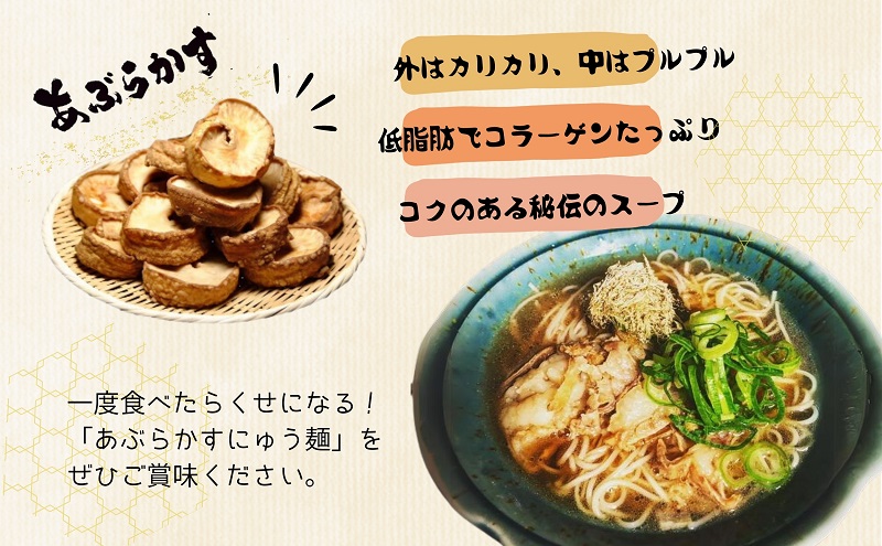 【 小豆島 】あぶらかすにゅう麺 ～KASUYA特製秘伝のだし付き～ 2個セット そうめん にゅうめん 小豆島 手延べ 素? つゆ付き 国産小麦  4人前