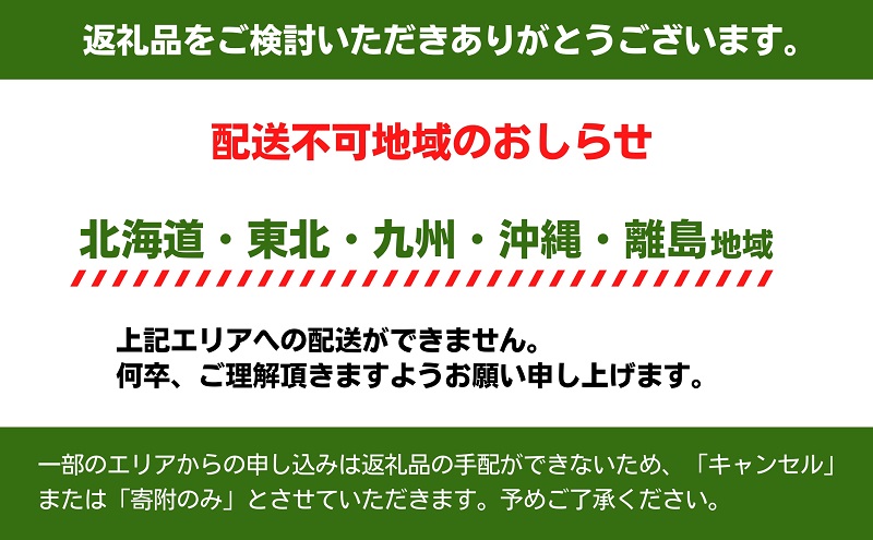 【 小豆島 】【 小豆島産 】小豆島で育った小豆島産アボカド 約1kg アボカド アボガド 野菜 やさい グリーン サラダ 森のバター 食品 ディップ 国産 1kg 香川 香川県 土庄 土庄町